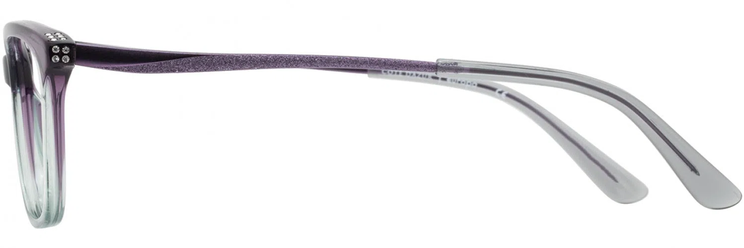 Cote DAzur CDA348 Eyeglasses - view 20